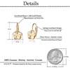 image:imageAustrian Crystal Flower Leverback Drop Earrings for Women 14K Rose Gold Plated Hypoallergenic JewelryLight Topaz