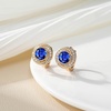 image:imageAustrian Crystal Halo Round Leverback Huggie Earrings for Women 14K Rose Gold Plated Hypoallergenic Jewelry GiftCapri Blue