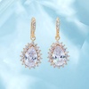 image:imageAustrian Crystal Halo Teardrop Drop Dangle Earrings for Women 14K Rose Gold Plated Hypoallergenic JewelryClear White