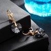 image:imageAustrian Crystal Heart Drop Leverback Earrings for Women Fashion Dangle Earring 14K Rose Gold Plated Hypoallergenic JewelryBlack