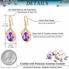 image:imageAustrian Crystal Hollow Teardrop Halo Drop Twisted Dangle Earrings for Women 14K Rose Gold Plated Hypoallergenic JewelryHeliotrope