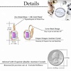 image:imageAustrian Crystal Octagon Leverback Drop Earrings for Women 14K Rose Gold Plated Hypoallergenic JewelryAurora Borealis