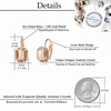 image:imageAustrian Crystal Octagon Leverback Drop Earrings for Women 14K Rose Gold Plated Hypoallergenic JewelryLight Topaz