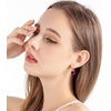 image:imageAustrian Crystal Round Drop Earrings for Women 14K Gold Plated Hypoallergenic Leverback Hoop EarringsFuchsia