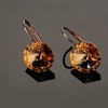 image:imageAustrian Crystal Round Drop Earrings for Women 14K Gold Plated Hypoallergenic Leverback Hoop EarringsYellow