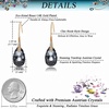 image:imageAustrian Crystal Teardrop Dangle Earrings for Women Drop Hook Earring 14K Rose Gold Plated Hypoallergenic JewelryGreyBlack