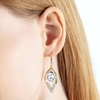 image:imageAustrian Crystal Teardrop Hollow Leaf Drop Dangle Earrings for Women 14K Rose Gold Plated Hypoallergenic JewelryClear White