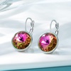 image:imageAustrian Crystals Round Drop Leverback Earrings for Women 14K Gold Plated Hypoallergenic Hoop EarringsVitrail Rose