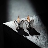 image:imageEVEVIC Austrian Crystal Butterfly Earrings Drop Leverback Earrings for Women 14K Rose Gold Plated Hypoallergenic Jewelry GiftsBlack