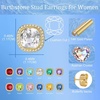 image:imageEVEVIC Austrian Crystal Halo Square Stud Earrings for Women 14K Gold Plated Birthstone Earring Hypoallergenic Jewelry GiftsClear WhiteApril