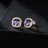 image:imageEVEVIC Austrian Crystal Halo Square Stud Earrings for Women 14K Gold Plated Birthstone Earring Hypoallergenic Jewelry GiftsPurple AmethystFeb