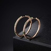 image:imageEVEVIC Austrian Crystal Lightweight Champagne Gold Hoop Earrings for Women Trendy 14K Gold Plated Hoops Earring Jewelry GiftFern Green