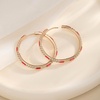 image:imageEVEVIC Austrian Crystal Lightweight Champagne Gold Hoop Earrings for Women Trendy 14K Gold Plated Hoops Earring Jewelry GiftRed