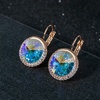 image:imageEVEVIC Round Austrian Crystal Halo Drop Leverback Earrings for Women  14K GoldPlated Brass Brilliant Faceted Center Sparkling CZ Border Secure EasyOn Closure GiftReady PackagingAurora Borealis