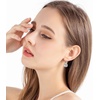 image:imageMulticolored Austrian Crystal Leverback Earrings for Women 14K Gold Plated Dangle Hoop Earrings Hypoallergenic JewelryClear White Rose Goldtone