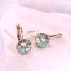 image:imageMulticolored Austrian Crystal Leverback Earrings for Women 14K Gold Plated Dangle Hoop Earrings Hypoallergenic JewelryGreen OpalAurora Borealis Crystal
