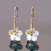 image:imageAustrian Crystal Flower Drop Dangle Earrings for Women Fashion 14K Gold Plated Hypoallergenic JewelryAurora Borealis