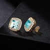 image:imageAustrian Crystal Halo Square Birthstone Stud Earrings for Women  14K gold plated brasssquare austrian crystalSparkle halo CZ gift boxbutterfly claspAquamarine