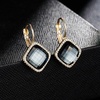 image:imageAustrian Crystal Halo Square Dangle Drop Earrings for Women  14K gold plated brasssecure leverbacksimple square designgift boxBlack