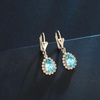 image:imageAustrian Crystal Halo Teardrop Dangle Earrings for Women  14K gold plated brasssecure leverbacksmall teardrop crystalgift boxAquamarine