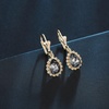 image:imageAustrian Crystal Halo Teardrop Dangle Earrings for Women  14K gold plated brasssecure leverbacksmall teardrop crystalgift boxBlack