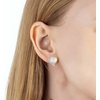 image:imageAustrian Crystal Heart Halo Drop Leverback Earrings for Women 14K White Gold Plated Hypoallergenic Huggie Earring Jewelry GiftAurora Borealis