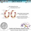 image:imageDazzling Multicolor Austrian Crystal 14K Gold Plated Hoop Earrings for Women Fashion Hypoallergenic Jewelry GiftPink Main CrystalGoldtone