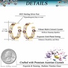 image:imageDazzling Multicolor Austrian Crystal 14K Gold Plated Hoop Earrings for Women Fashion Hypoallergenic Jewelry GiftPurple Main CrystalGoldtone