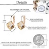 image:imageEVEVIC Austrian Crystal Cube Drop Leverback Earrings for Women  14K Rose GoldPlated HypoallergenicGeometric Cube EarringsCrystal Dangle StyleSecure Leverback ClosureGift for WomenLight Topaz