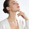 image:imageEVEVIC Austrian Crystal Heart Clip on Earrings for Women Trendy Halo Teardrop 14K Gold Plated Hypoallergenic Non Piercing Comfortable Jewelry GiftVitrail Medium