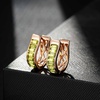 image:imageEVEVIC Austrian Crystal Huggie Hoop Earrings for Women Trendy Hypoallergenic 14K Small Rose Gold Plated Hoops Earring Jewelry GiftsLime Green