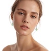 image:imageEVEVIC Heart Austrian Crystal Hook Drop Earrings for Women  14K GoldPlatedHeartShaped Crystal for Romantic GlowGift Box IncludedBrighten Up Daily Outfit and Date NightsAurora Borealis