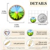 image:imageEVEVIC Round Austrian Crystal Clip On Earrings for Women  14K Gold PlatedSilicone Comfort PadPerfect for Dance Competitions and PromsGift Box IncludedRainbow