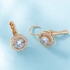 image:imageEVEVIC Round Austrian Crystal Halo Drop Earrings for Women Leverback  14K Rose GoldPlated Brass ProngSet Faceted Center Sparkling Accent Border Secure EasyOn Closure DayToEvening StyleClear White