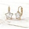 image:imageEVEVIC Star Austrian Crystal Leverback Dangle Drop Earrings for Women  14K GoldPlatedStarCut Crystal with Playful SparkleLeverback for Easy Secure WearLight Up Daily OutfitsGift Box IncludedWhite Clear