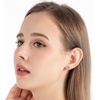 image:imageRound Austrian Crystal Halo Stud Earrings for Women Fashion 925 Sterling Silver Hypoallergenic JewelryPink