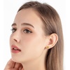 image:imageRound Austrian Crystal Halo Stud Earrings for Women Fashion 925 Sterling Silver Hypoallergenic JewelryTopaz