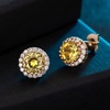 image:imageRound Austrian Crystal Halo Stud Earrings for Women Fashion 925 Sterling Silver Hypoallergenic JewelryTopaz