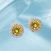 image:imageRound Austrian Crystal Halo Stud Earrings for Women Fashion 925 Sterling Silver Hypoallergenic JewelryTopaz