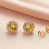 image:imageRound Austrian Crystal Halo Stud Earrings for Women Fashion 925 Sterling Silver Hypoallergenic JewelryTopaz