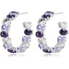 Purple Main Crystal/Silver-tone