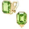 Fern Green