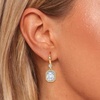 image:imageAustrian Crystal Octagon Dangle Hook Earrings for Women  14K gold plated brassgeometric crystalshining halogift boxClear White