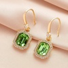 image:imageAustrian Crystal Octagon Dangle Hook Earrings for Women  14K gold plated brassgeometric crystalshining halogift boxFern Green