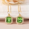 image:imageAustrian Crystal Octagon Dangle Hook Earrings for Women  14K gold plated brassgeometric crystalshining halogift boxFern Green