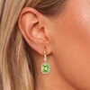 image:imageAustrian Crystal Octagon Dangle Hook Earrings for Women  14K gold plated brassgeometric crystalshining halogift boxFern Green