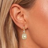 image:imageAustrian Crystal Octagon Dangle Hook Earrings for Women  14K gold plated brassgeometric crystalshining halogift boxLight Topaz