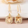 image:imageAustrian Crystal Octagon Dangle Hook Earrings for Women  14K gold plated brassgeometric crystalshining halogift boxLight Topaz