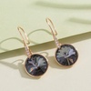 image:imageAustrian Crystal Round Drop Dangle Earrings for Women 14K Gold Plated Hypoallergenic JewelryGreyBlack
