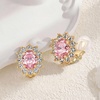 image:imageOval Austrian Crystal Halo Clip On Earrings for Women  Oval Austrian Crystal with Zircon Halo14K GoldPlatedSilicone Comfort PadGift Box IncludedFor Daily and Evening EventsPink